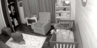 Family Dog Loves Helping Put Crying Baby Girl Back To Sleep During The Night