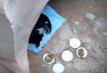Man Hikes Down A 350-Foot Deep Canyon And Finds An Abandoned Dog