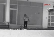 Stranger Spotted Giving The Coat Off His Back To Keep Stray Dog Warm