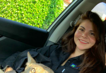 Woman Rescues ‘Injured Dog’ That Was Hit By A Car, Finds Out It’s A Wild Coyote