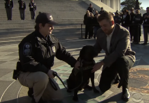 A Marine And Military Dog Who Haven’t Seen Each Other In Three Years Reunite, And It’s Beautiful!