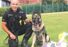 Man Who Stabbed Police Dog In The Head Is The First To Be Jailed Under ‘Finn’s Law’