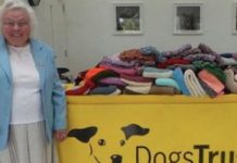 89-Year-Old Woman Knitted 450 Blankets And Coats For Shelter Dogs