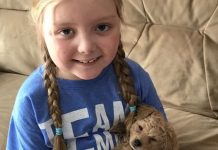 Terminally Ill Little Girl That Spent Her Life Advocating For Rescue Dogs Passed Away