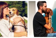 Humans Kiss Their Dogs More Than Their Partners, Study Finds