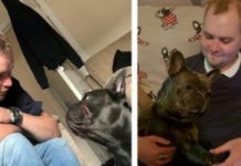 Dog Dies 15 Minutes After Owner Loses Eight-Year Cancer Battle