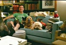 Man Grieving Over The Loss Of His Dog Goes To Shelter And Adopts Senior Dogs No One Wanted
