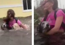 Family Wades Through Chest-Level Floodwaters To Rescue Their Dogs From Hurricane Dorian
