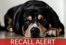 Hill’s Prescription Diet and Science Diet Expand Recall On Dog Food