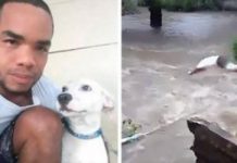 Man Dives Into A Deadly Torrent To Save His Dog After It Was Swept Away