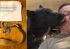 Veteran Spent Days Looking For His Dog Before Finding Her Collar And A Heartbreaking Note In His Mailbox