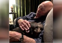Patrick Stewart And His Wife Are Heartbroken After Their Foster Dog Lenny Passes Away