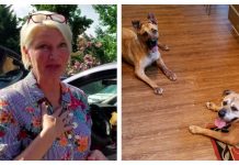 Woman Walked Into Shelter And Asked For The Two Dogs There The Longest, But Adopted Three