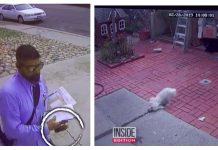 Mailman Caught On Camera Repeatedly Pepper Spraying Small Dog