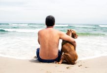 Sending Your Beloved Companions Across The Rainbow Bridge Is Hard, But Beautiful.