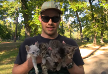 You Won’t Believe What This Couple Found While Walking In The Woods! Such An Amazing Rescue — And It’s All On Tape!