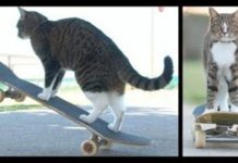 Whoa, Watch This Little Guy Go!