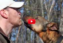 This Sweet Dog Was Finally Adopted After Spending 6 Years In Shelter! Such A Happy Ending!