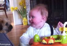 Chubby Cheeks And Perky Pups–These Baby Belly Laughs Will Brighten Your Day!