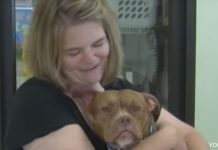Deaf Shelter Dog Finds Someone Who Understands Her Unique Language