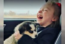 6-Yr-Old With Cerebral Palsy Receives Dream Gift After Learning To Walk.