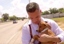 While This Video Is Being Filmed, A Homeless Dog Comes On Set And Adopts The Singer!