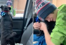 Boy Reunites With His Lost Dog In Heartwarming Viral Video